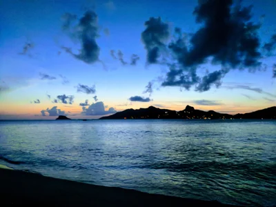 Palm Island - Photo 3