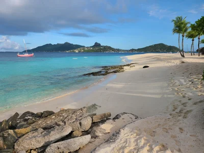 Palm Island - Photo 4