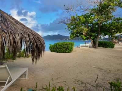 Palm Island - Photo 5