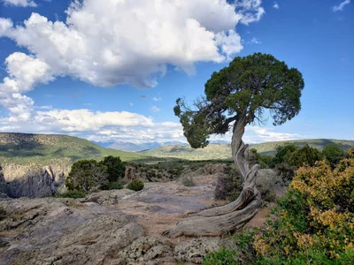 Black Canyon Of The Gunnison National Park - Photo 4