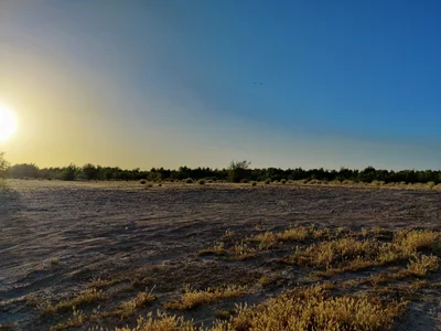 Gila Bend - Photo 5