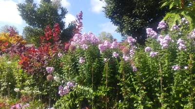 Oysterville - Photo 3