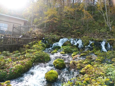 Kyogoku - Photo 2