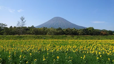 Kyogoku - Photo 3