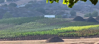 Jamul - Photo 3