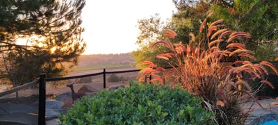Jamul - Photo 4