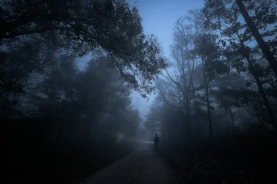 Gilbert - Photo 5