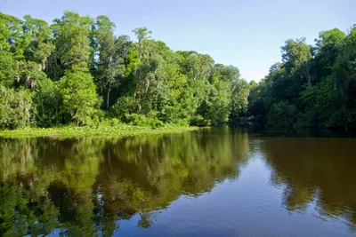 Homosassa - Photo 5