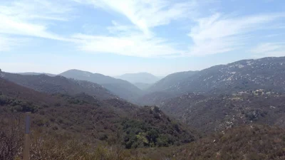 Pala - Photo 2