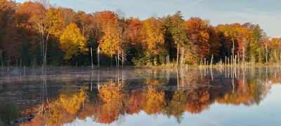 Speculator - Photo 5