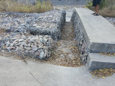 Ladonia - Photo 3