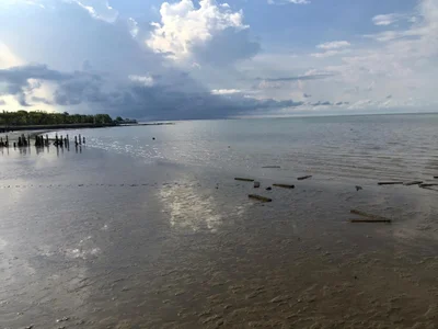 Trat - Photo 4
