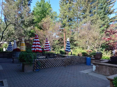 Calaveras County - Photo 3