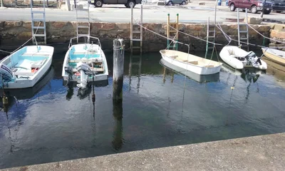 Mattapoisett - Photo 3