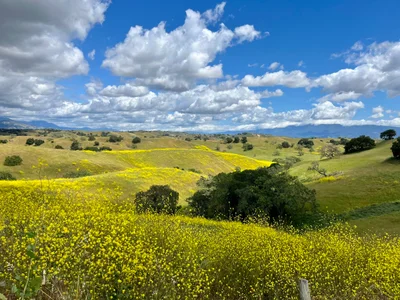 Santa Ynez Valley - Photo 2