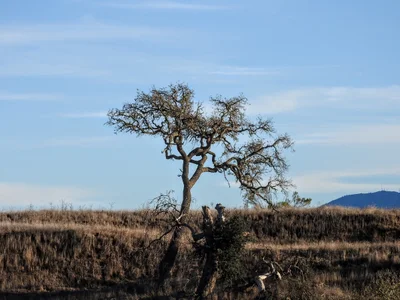 Santa Ynez Valley - Photo 3