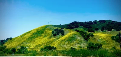 Santa Ynez Valley - Photo 4