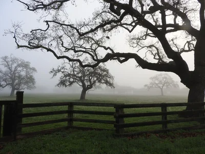 Santa Ynez Valley - Photo 5