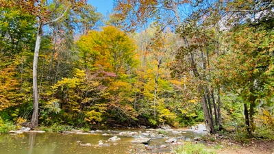 Natural Bridge - Photo 3