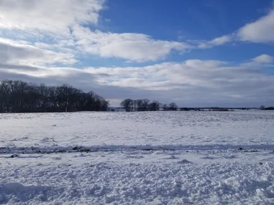 Hampshire - Photo 3