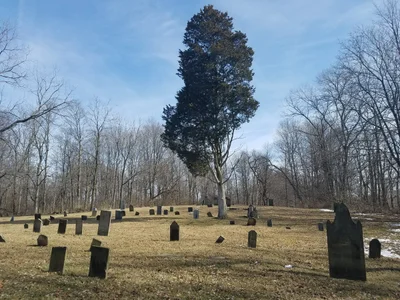 Mount Gilead - Photo 5
