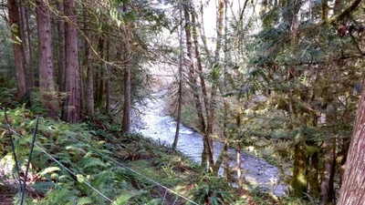 Quilcene - Photo 3