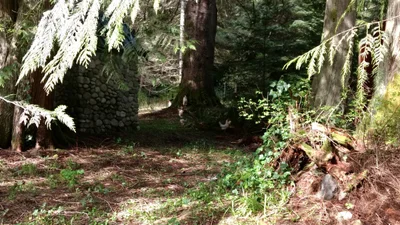 Quilcene - Photo 4