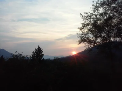 Amboy - Photo 2