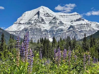 Mount Robson Provincial Park and Protected Area - Photo 2