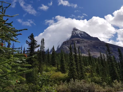 Mount Robson Provincial Park and Protected Area - Photo 4