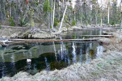 Diamond Lake - Photo 2
