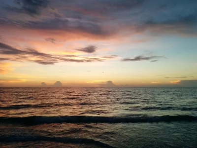 Belleair Beach - Photo 2