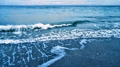 Belleair Beach - Photo 4
