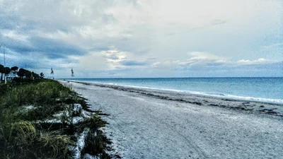 Belleair Beach - Photo 5