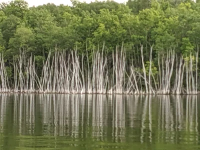 Kenosee Lake - Photo 5