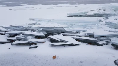 Buffalo Point - Photo 2
