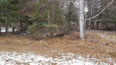 Buffalo Point - Photo 5