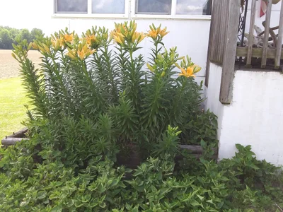 Vinton - Photo 2