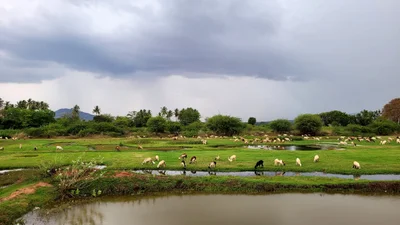 Cumbum - Photo 3