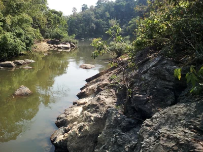 Myeik Township - Photo 3