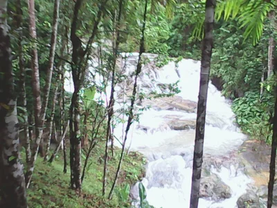 Myeik Township - Photo 4