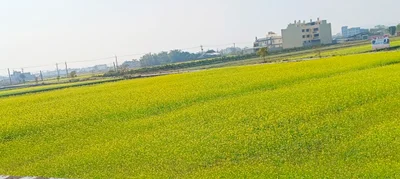 Yuanli - Photo 2