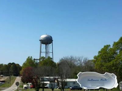 Forsyth - Photo 5