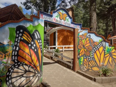 Monarch Butterfly Biosphere Reserve - Photo 2