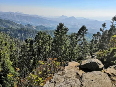 Monarch Butterfly Biosphere Reserve - Photo 3