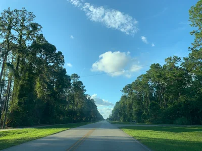 Fleming Island - Photo 3