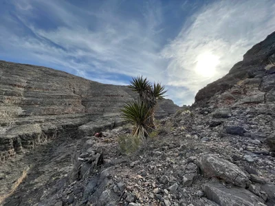 Moapa - Photo 2