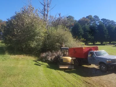 Clarkesville - Photo 3
