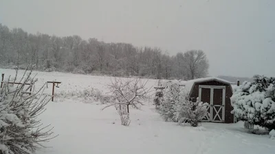 Grantville - Photo 4