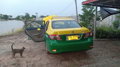 Bang Pakong - Photo 3